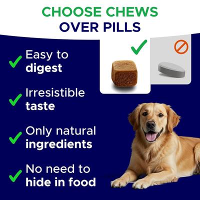 Show full view: GoodGrowlies Calming Melatonin Sleep Aid & Anxiety Relief Supplement Chews for Dogs, 120 count slide 4 of 10