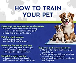 Tugzelle Fresh Scented Dog Potty Training Pad, 23 x 23-in, 50 count slide 2 of 6