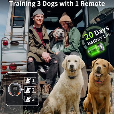 Show full view: PetJoy IPX7 Waterproof & Adjustable 3300-ft No Shock Remote Dog Training Collar, 3 count slide 3 of 7