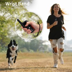 PetJoy 2-Dog No Shock Remote Dog Training Collar slide 2 of 8