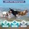 Show in main carousel: PetJoy Automatic Electric Shock Waterproof & Anti-Bark Adjustable Rechargeable Remote Dog Training Collar, 3 count slide 7 of 10