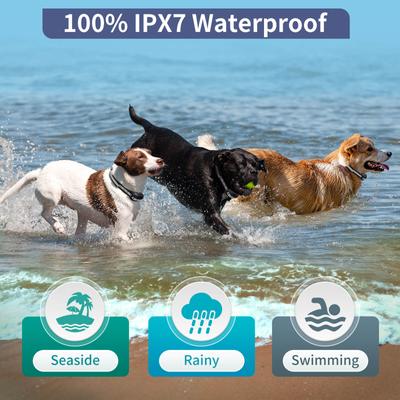 Show full view: PetJoy Automatic Electric Shock Waterproof & Anti-Bark Adjustable Rechargeable Remote Dog Training Collar, 3 count slide 7 of 10