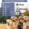Show in main carousel: PetJoy Automatic Electric Shock Waterproof & Anti-Bark Adjustable Rechargeable Remote Dog Training Collar, 3 count slide 4 of 10