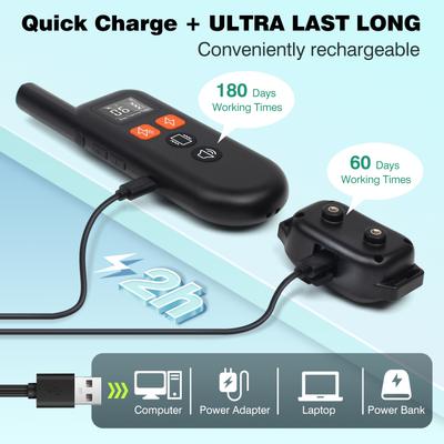 Show full view: PetJoy IPX7 Waterproof Rechargeable Remote Dog Training Collar, 3 count slide 6 of 10