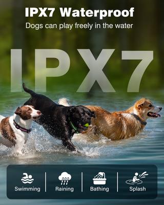 Show full view: PetJoy IPX7 Waterproof Rechargeable Remote Dog Training Collar, 3 count slide 4 of 10