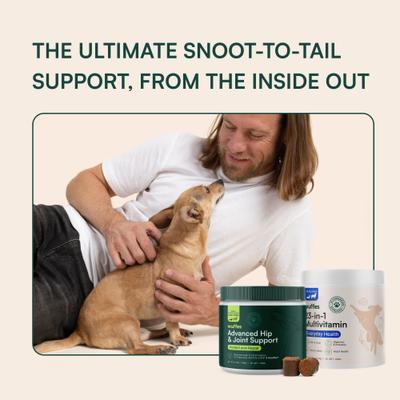 Show full view: Wuffes 23-in-1 Multivitamin + Hip & Joint Supplement for Small & Medium Breed Dogs, 90 count slide 5 of 8