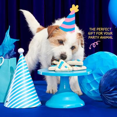 Show full view: BARK Birthday Dog Cake slide 6 of 8