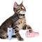 Show in main carousel: PUPROAR Kitty Cup Tumbler Catnip Cat Toy, Pink Peach Dust slide 7 of 9