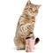 Show in main carousel: PUPROAR Kitty Cup Tumbler Catnip Cat Toy, Pink Peach Dust slide 1 of 9