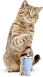 PUPROAR Kitty Cup Tumbler Catnip Cat Toy, Chambray Blue
