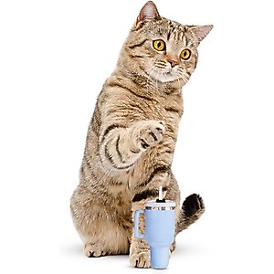 PUPROAR Kitty Cup Tumbler Catnip Cat Toy, Chambray Blue