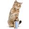 Show in main carousel: PUPROAR Kitty Cup Tumbler Catnip Cat Toy, Chambray Blue slide 1 of 8