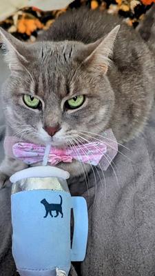 Show full view: PUPROAR Kitty Cup Tumbler Catnip Cat Toy, Chambray Blue slide 3 of 8