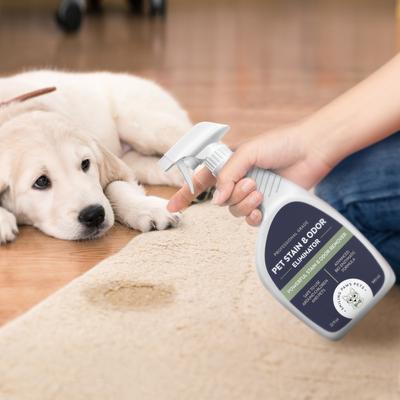 Show full view: Smiling Paws Pets Dog & Cat Stain & Odor Eliminator, 32-fl oz bottle, bundle of 2 slide 3 of 7