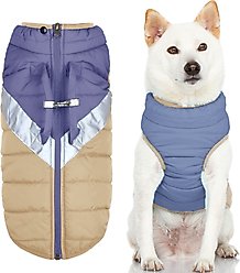 Gooby Mountaineer Dog Jacket, Quantum Blue, X-Large