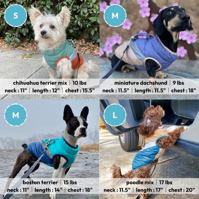 Show full view: Gooby Mountaineer Dog Jacket, Jade, Small slide 5 of 6