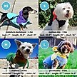 Show in main carousel: Gooby Two-Tone Fleece Dog Vest Hoodie, Blue, Medium slide 4 of 4