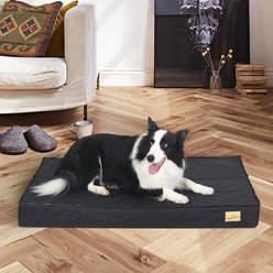 BingoPaw Pillow Dog Bed with Removable Cover, Black, Large slide 2 of 9