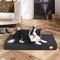 Show in main carousel: BingoPaw Pillow Dog Bed with Removable Cover, Black, Large slide 6 of 10
