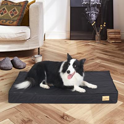 Show full view: BingoPaw Pillow Dog Bed with Removable Cover, Black, Large slide 6 of 10