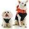 Show in main carousel: Gooby Two-Tone Fleece Dog Vest Hoodie, Black, Medium slide 1 of 5
