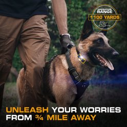 INVIROX Ultra K9 Waterproof Large Breed Dog Training Collar, Yellow, 1 count slide 2 of 7
