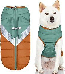 Gooby Mountaineer Dog Jacket, Jade, Medium