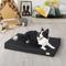 Show in main carousel: BingoPaw Pillow Dog Bed with Removable Cover, Black, Large slide 2 of 10
