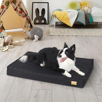 Show full view: BingoPaw Pillow Dog Bed with Removable Cover, Black, Large slide 2 of 10