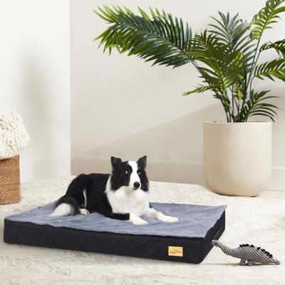 Show full view: BingoPaw Pillow Dog Bed with Removable Cover, Black, Large slide 7 of 10