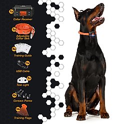 INVIROX Wireless Rechargeable Waterproof GPS Fence System Dog Collar, Black slide 2 of 3