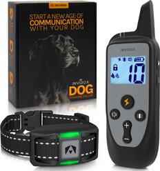 INVIROX 2025 Edition Waterproof Rechargeable Dog Training Collar & Remote Control, Grey, 1 count