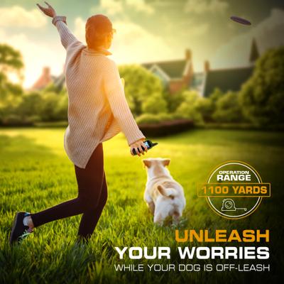 Show full view: INVIROX 2026 Edition Waterproof Rechargeable Dog Training Collar & Remote Control, Black/Grey, 2 count slide 6 of 9