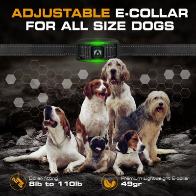 Show full view: INVIROX 2026 Edition Waterproof Rechargeable Dog Training Collar & Remote Control, Black/Grey, 2 count slide 7 of 9