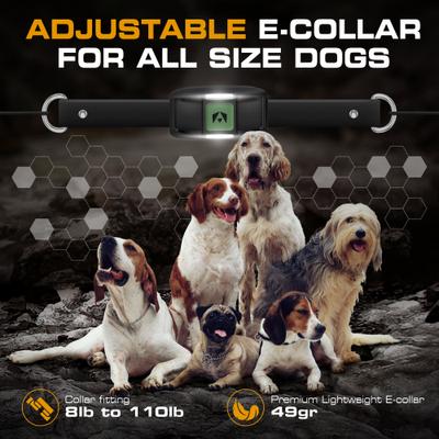 Show full view: INVIROX Spark K9 Waterproof Large Breed Dog Training Collar, Green, 1 count slide 6 of 9