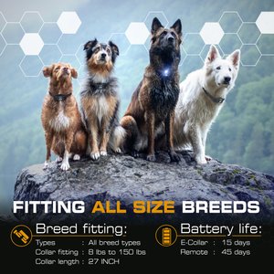 INVIROX Ultra K9 Waterproof Large Breed Dog Training Collar, Black, 1 count