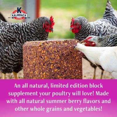Show full view: Kalmbach Feeds Henhouse Reserve Summer Berry Treat Block for Chickens, 20-lb block slide 2 of 2