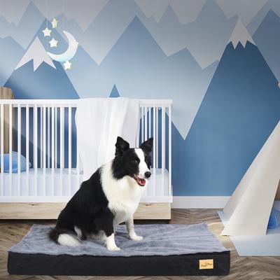 Show full view: BingoPaw Pillow Dog Bed with Removable Cover, Black, Large slide 8 of 10