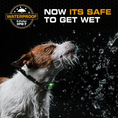 Show full view: INVIROX 2026 Edition Waterproof Rechargeable Dog Training Collar & Remote Control, Grey, 1 count slide 3 of 8