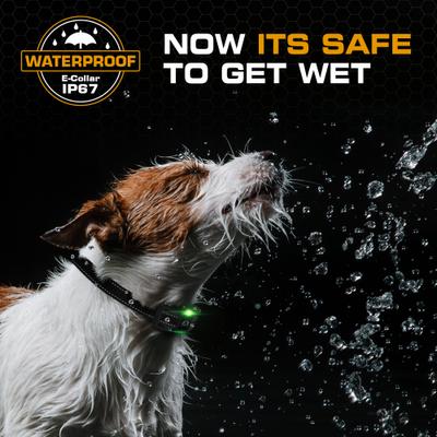 Show full view: INVIROX 2026 Edition Waterproof Rechargeable Dog Training Collar & Remote Control, Black/Grey, 2 count slide 4 of 9