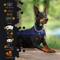 Show in main carousel: INVIROX Radar Wireless Fence Dog Collar, Black, 1 count slide 4 of 4