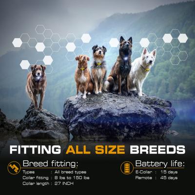 Show full view: INVIROX Ultra K9 Waterproof Large Breed Dog Training Collar, Yellow, 1 count slide 8 of 9