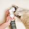 Show in main carousel: Dandylion Clean Paws Dog Foaming Cleanser, 5-oz bottle + Clean Paws No-Rinse Foaming Dog Cleanser Refill, 10-fl oz bottle slide 7 of 9