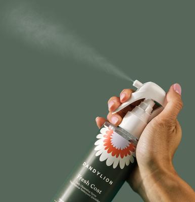 Show full view: Dandylion Clean Paws Dog Foaming Cleanser, 5-oz bottle + Fresh Coat Daily Cleansing Dog Spray, 8.4-fl oz bottle slide 9 of 9