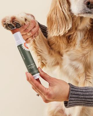 Show full view: Dandylion Clean Paws Dog Foaming Cleanser, 5-oz bottle + Soft Paws Hydrating Dog Paw Lotion Cream, 0.6-fl oz bottle slide 8 of 9