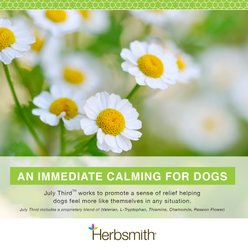 Herbsmith July Third Small Chew Calming Supplement for Dogs, 30 count slide 2 of 7