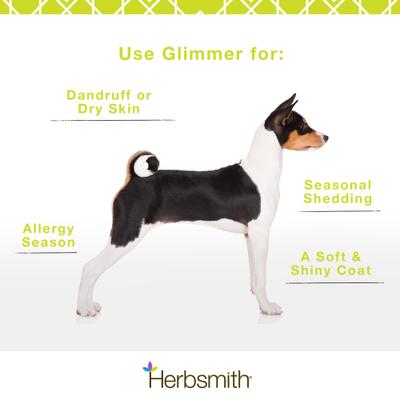 Show full view: Herbsmith Glimmer Large Chew Skin & Coat Supplement for Dogs, 60 count slide 9 of 9