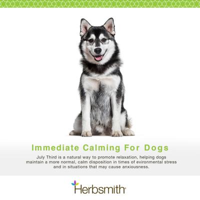 Show full view: Herbsmith July Third Large Chew Calming Supplement for Dogs, 30 count slide 3 of 8