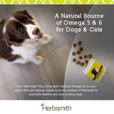 Show full view: Herbsmith Glimmer Large Chew Skin & Coat Supplement for Dogs, 60 count slide 7 of 9