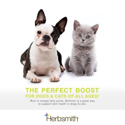 Show full view: Herbsmith Glimmer Large Chew Skin & Coat Supplement for Dogs, 60 count slide 4 of 9